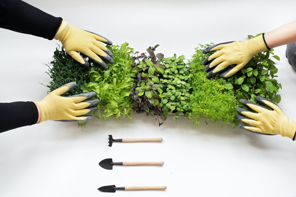 choisir sa jardinière